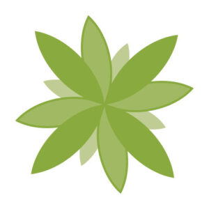 Sugar Land Medical Spa logo