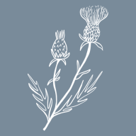 Lyle Plastic Surgery & Aesthetics Center logo