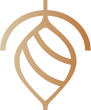 The Brisa Foundation logo