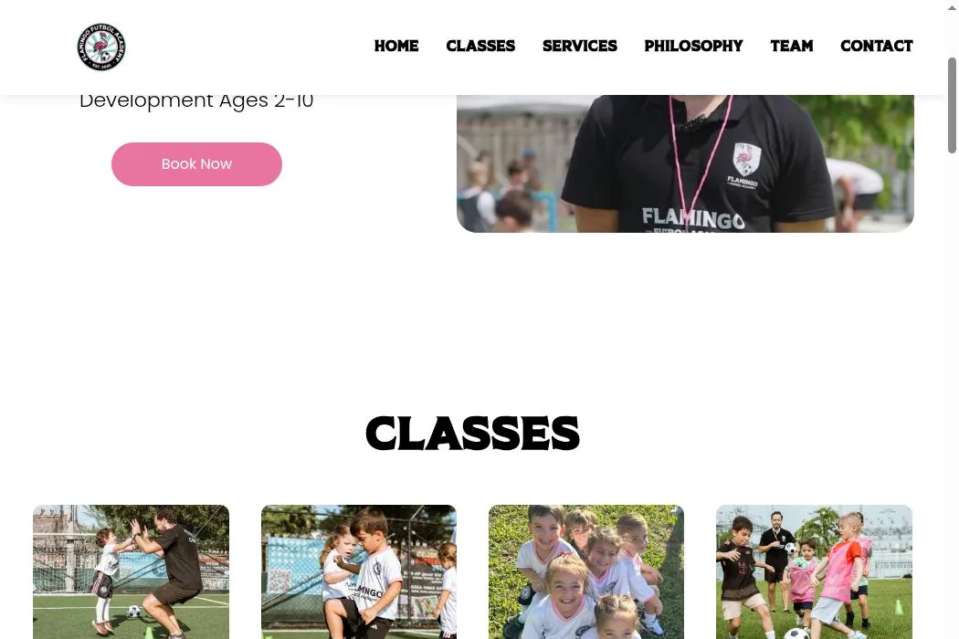 Flamingo Futbol Academy cover