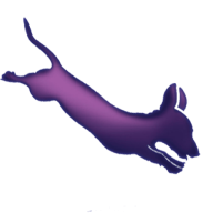 K9 Aquatics Las Vegas Henderson logo