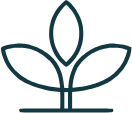 zenovamedspa-com logo