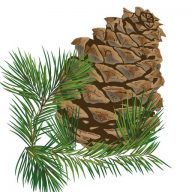 A Massage For All Seasons logo