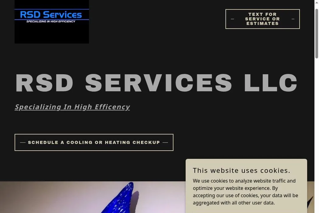 RSD Services LLC cover