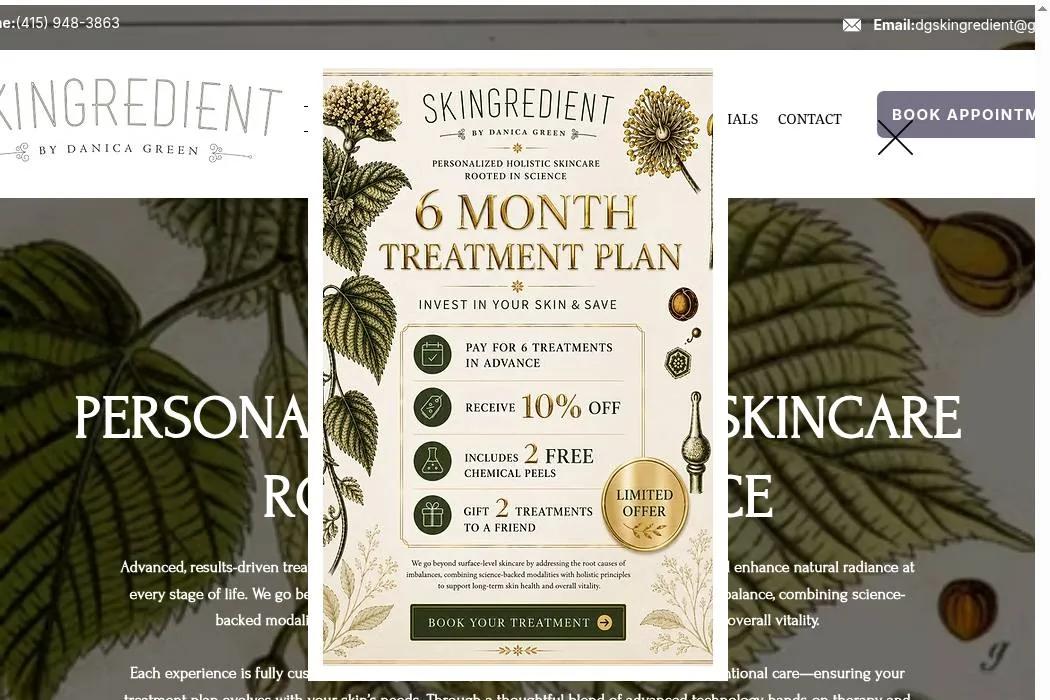 SKINGREDIENT BY DANICA GREEN cover