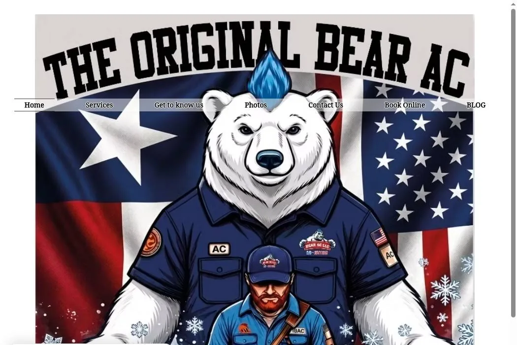 Bear AC cover