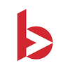 Bella Vista Company logo