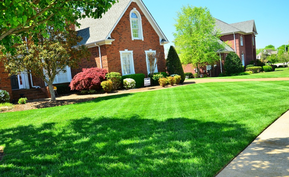 Pro Landscaping Southbury logo