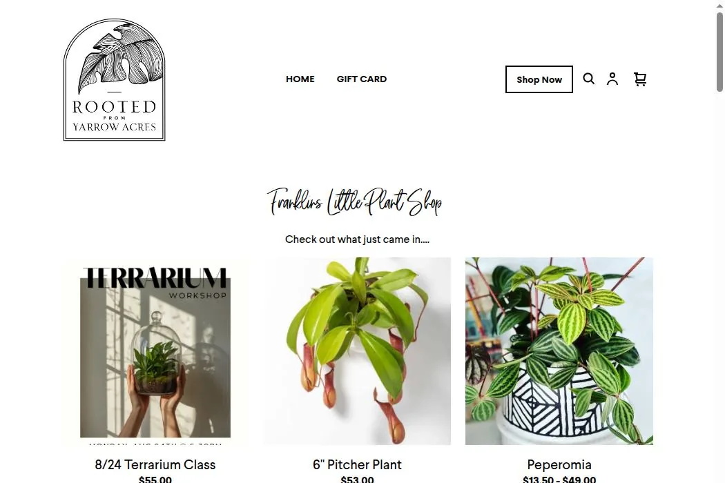 Franklin’s Little Plant Shop cover