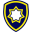 VP Security Services, Inc logo