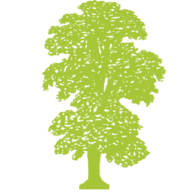 Beech Tree Property Management logo