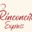 rinconcitoexpressrestaurant-com logo