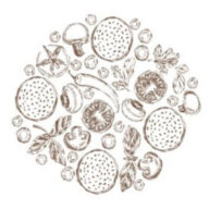 Fresh Levant Bistro logo