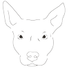 Balanced Bay Dog Training logo