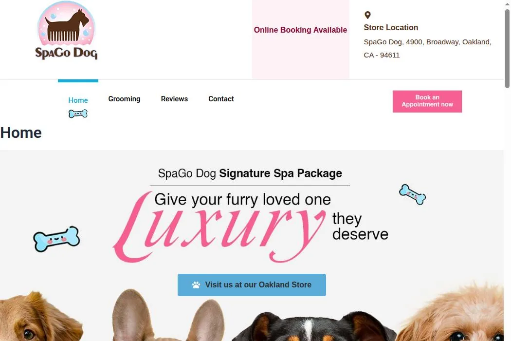 SpaGo Dog cover