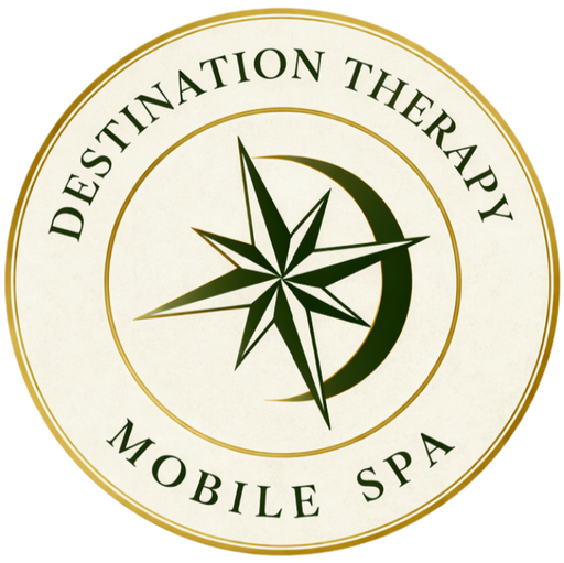 Destination Therapy VA logo