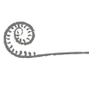 Twisted Fern logo