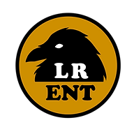Little Raven Entertainment L.C. logo