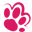 Silicute logo