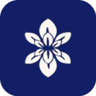 Massage Bliss Med Spa logo