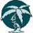 Bluewater Orthopedics logo