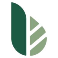 Birkdale Village logo