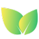 Energy Cafe Charlotte logo