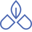 Cary Medical Clinic logo