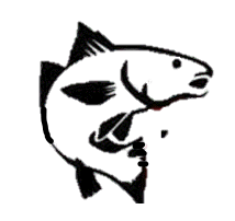Big Fish HVAC, LLC logo