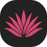 Agave Rosa Mexican Bar & Grill logo