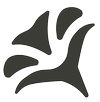Morninglory logo