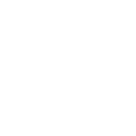 Verdi Local Distillery logo