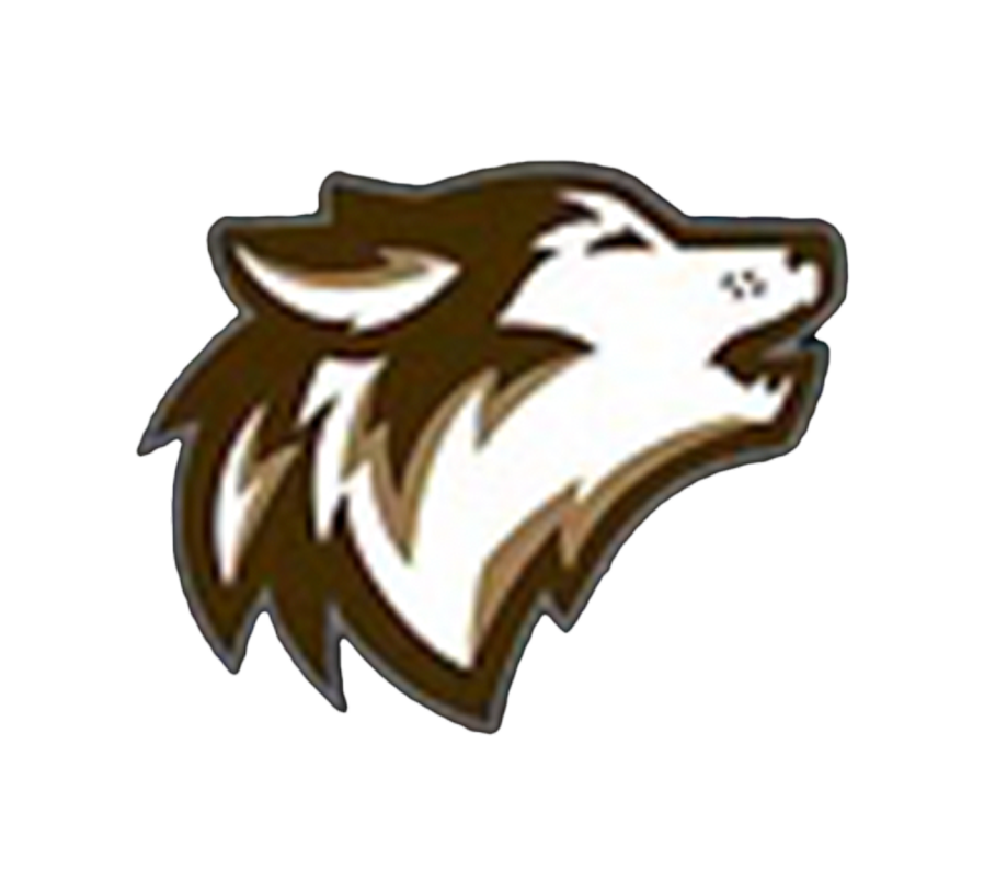 Coyotes Moving logo