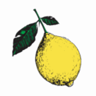 Fox Restaurant Concepts logo