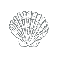 Seychelles Med & Laser Spa logo
