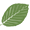 Beech Mountain Club logo