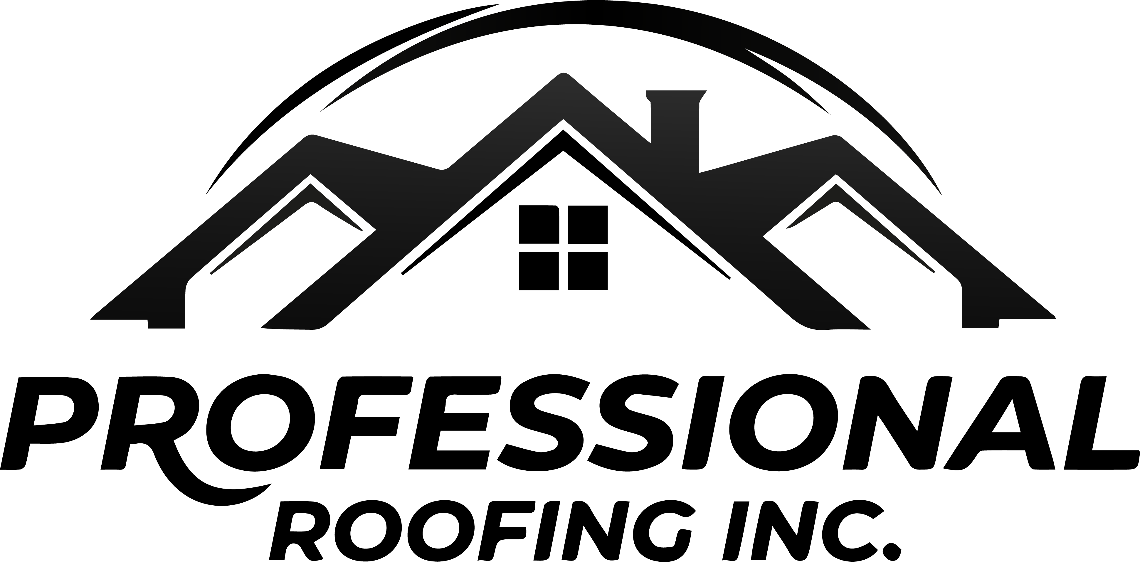 Professional Roofing Inc logo