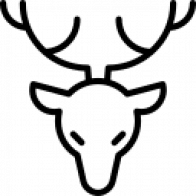 30 Point Service Company logo