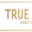 True Plumbing and Drain Cleaning logo