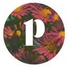 Posies Café logo