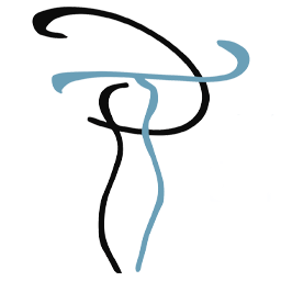 Perfect Touch Medspa logo