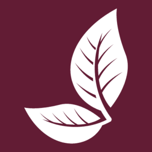 Little City Landscape, LLC logo