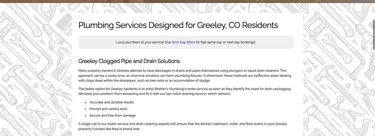Brother's Plumbing cover