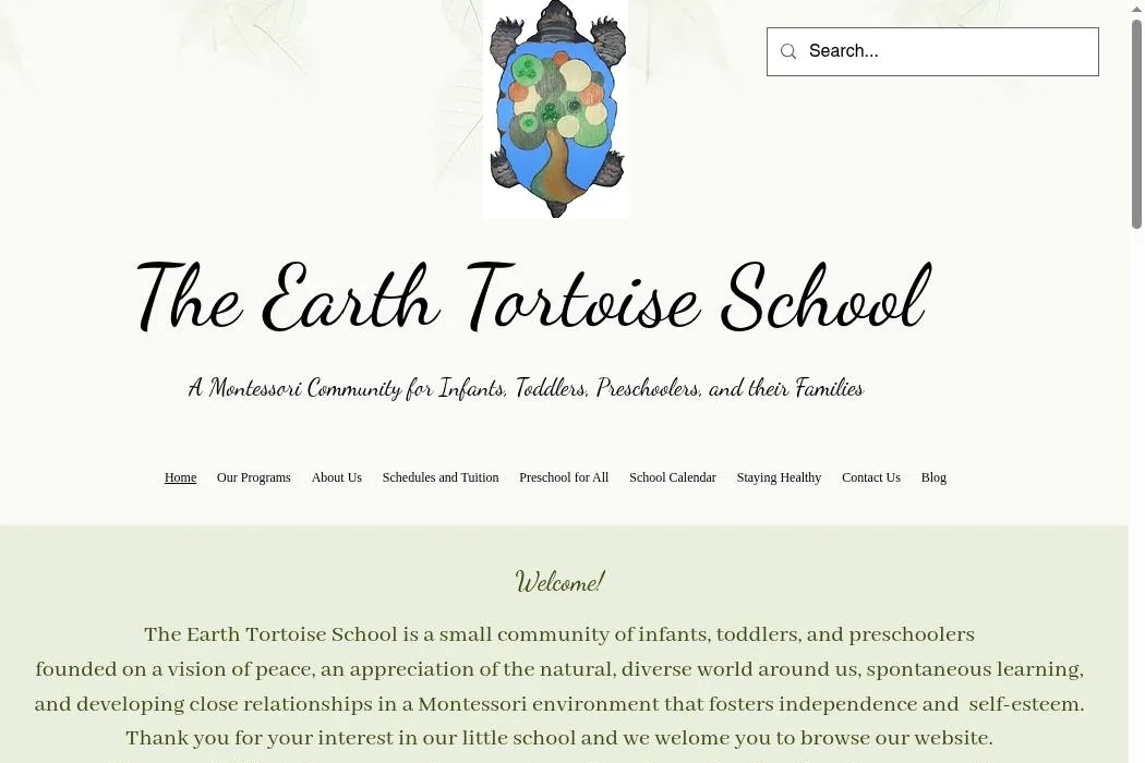 The Earth Tortoise School cover