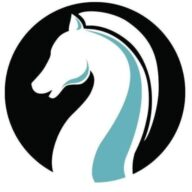 Chesshir Stone & Rock Supply logo