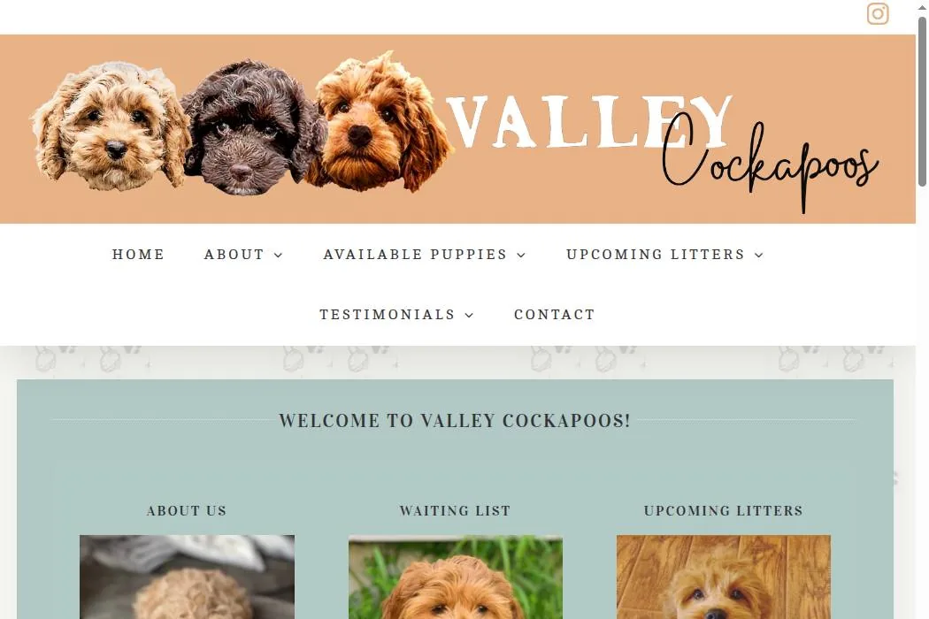 Valley Cockapoos cover