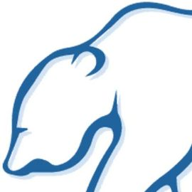 Polar Air logo
