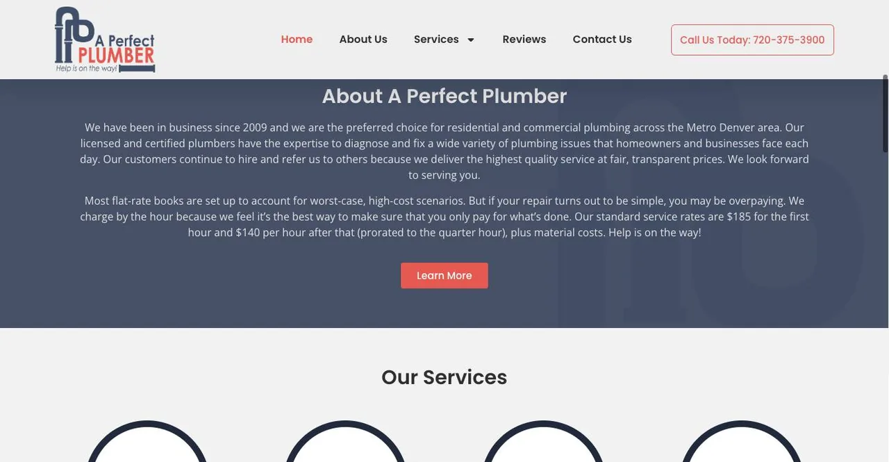 A Perfect Plumber cover