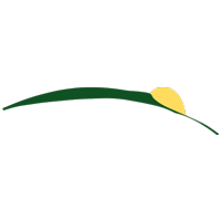 Renaissance Center for Plastic Surgery & Wellness logo