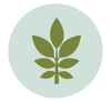 Plant Style Designs logo